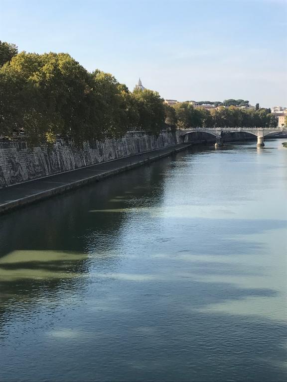 Trastevere Romantic Appartamento Roma